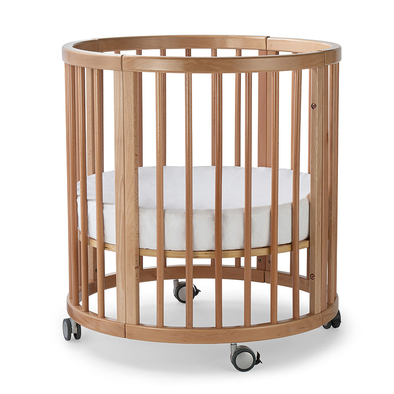 Cocoon Lolli Furniture Sprout 4 in 1 Cot